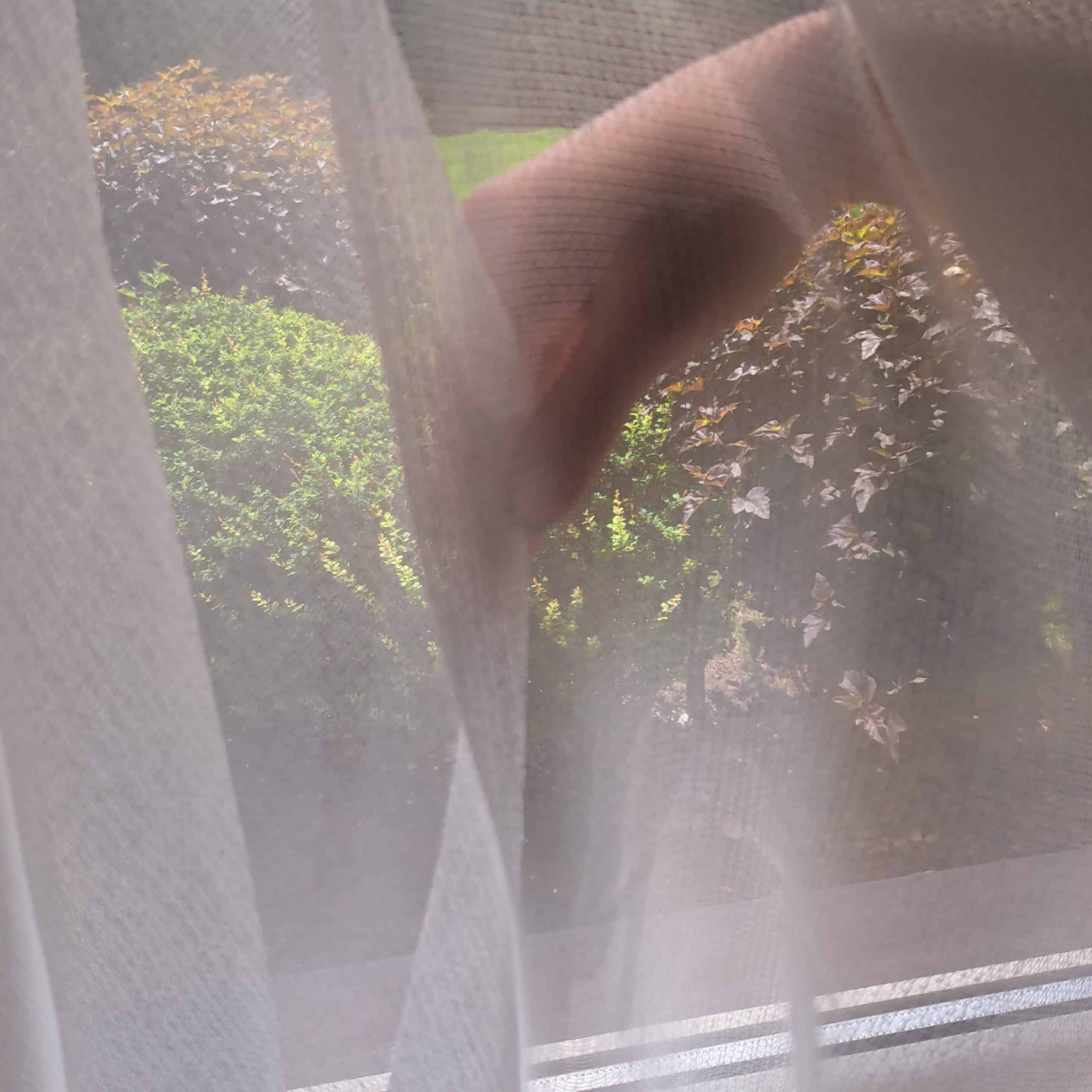 302 bi 2 Ręka odchylająca firankę z widokiem na ogród, zielone krzewy i słońce.