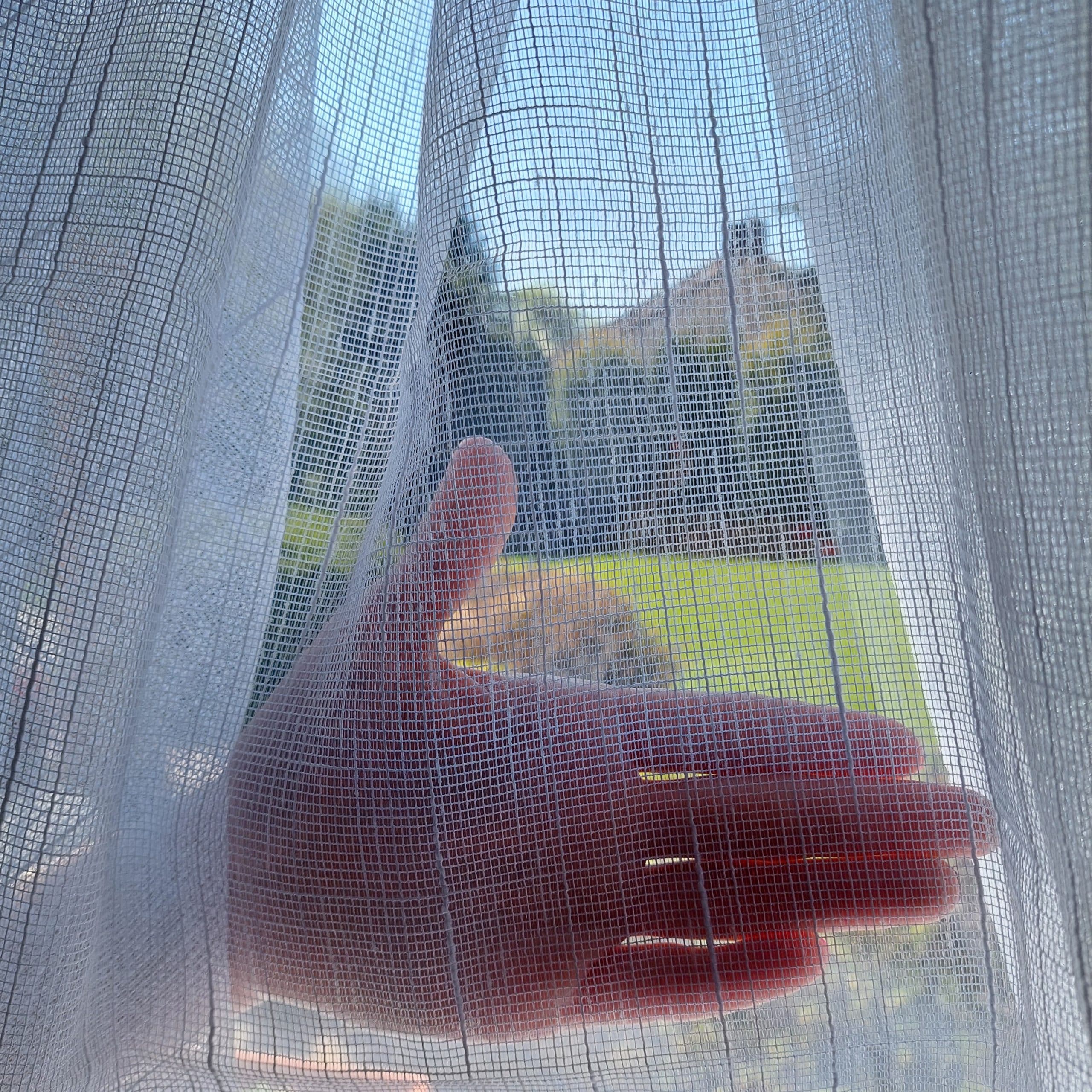 Ręka dotykająca siatkę w oknie, widok na ogród. Idealne ujęcie na temat relaksu i spokojnego życia w domu.