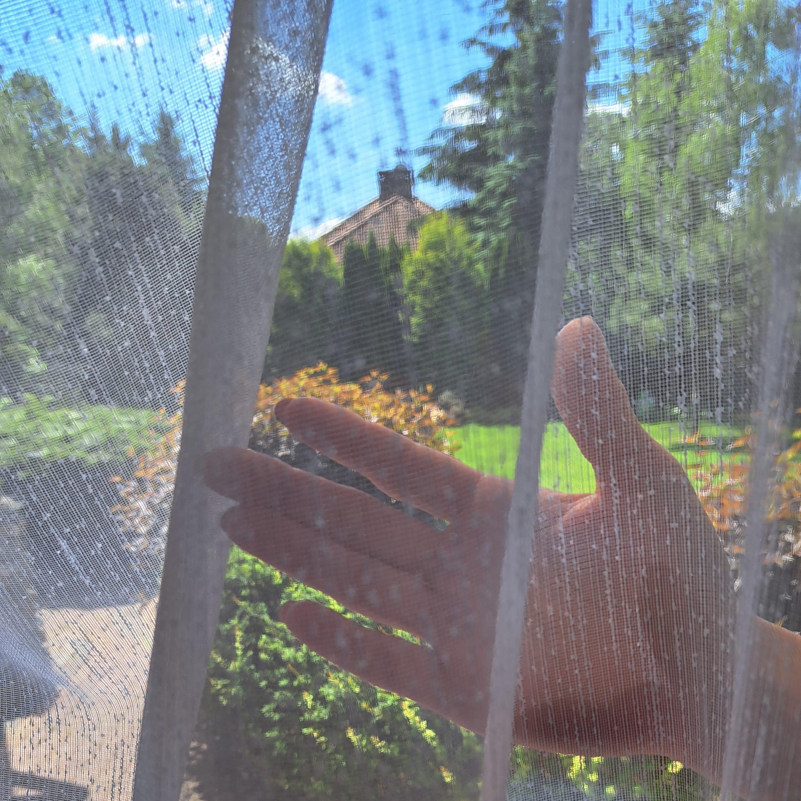 Dłoń za koronkową zasłoną, widok na ogród pełen zieleni i słońca.