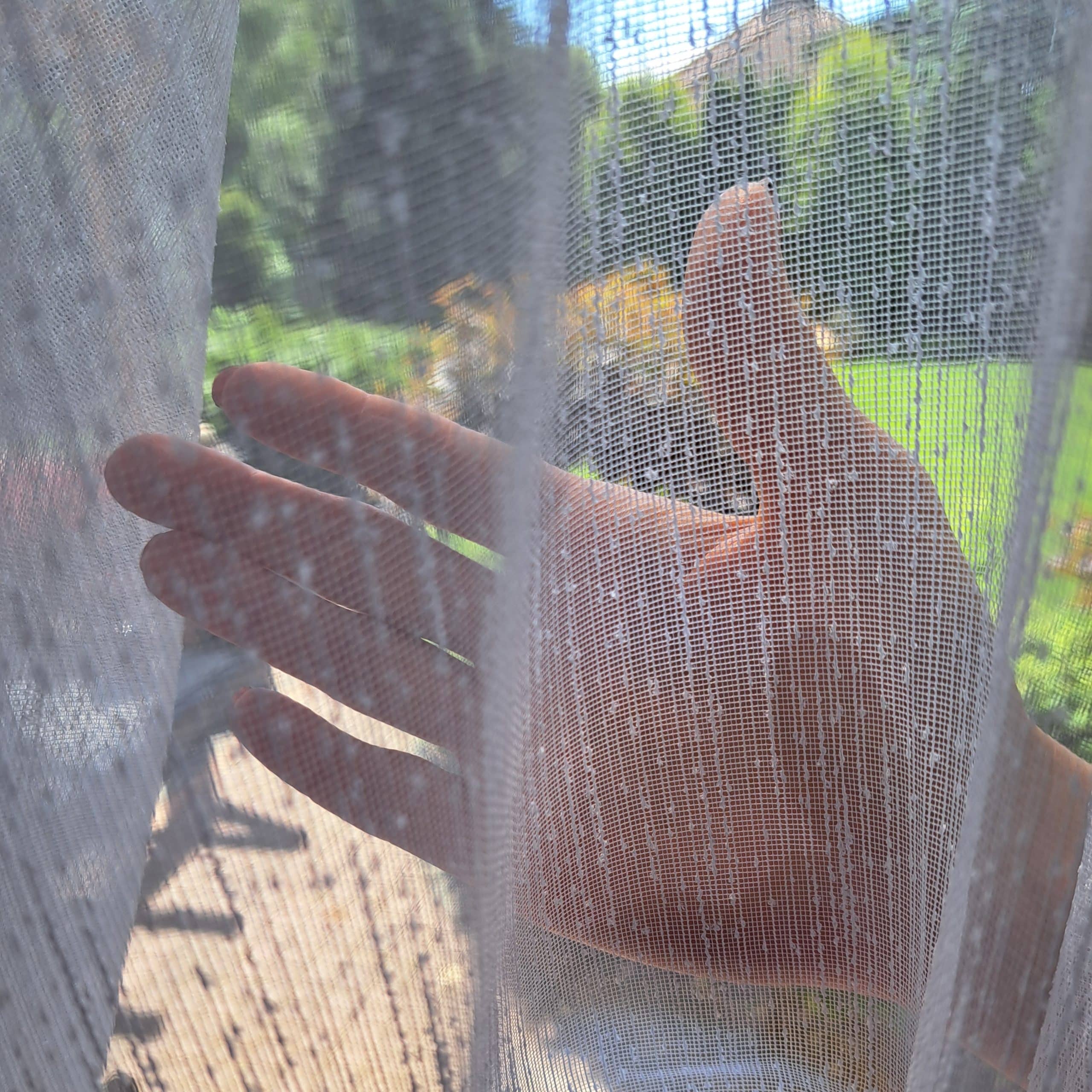 Ręka dotykająca delikatnej firany, przez którą widać ogród i jasne, zielone tło w słoneczny dzień.