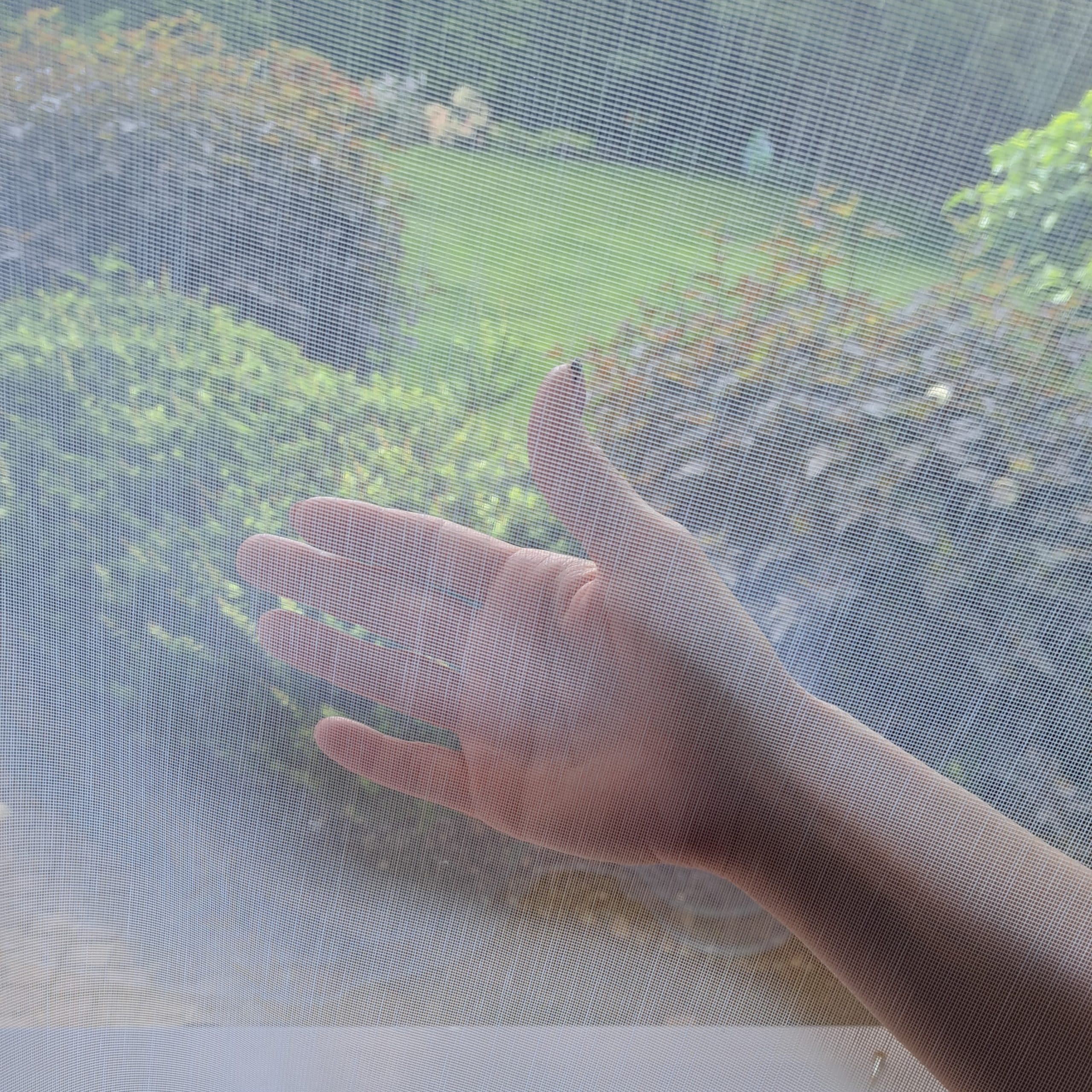 Ręka dotykająca moskitiery z widokiem na zieleń za oknem.